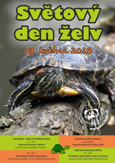 Zoo Děčín se připojí ke Světovému dni želv, chystá hned několik aktivit