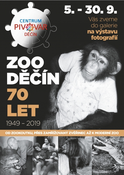 Zoo si ke svým 70. narozeninám nadělila výstavu v Pivovaru