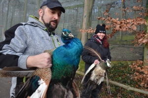 Zoo zavedla preventivní opatření kvůli ptačí chřipce